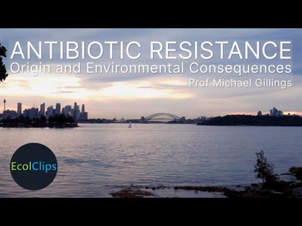 Antibiotic Resistance: Origin and Environmental Consequences with Prof. Michael Gillings | EcolClips