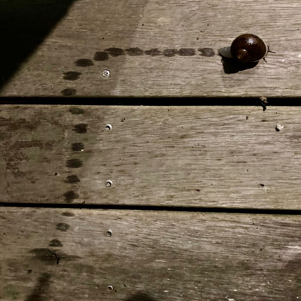 Dotted ight angle Snail trail with trail