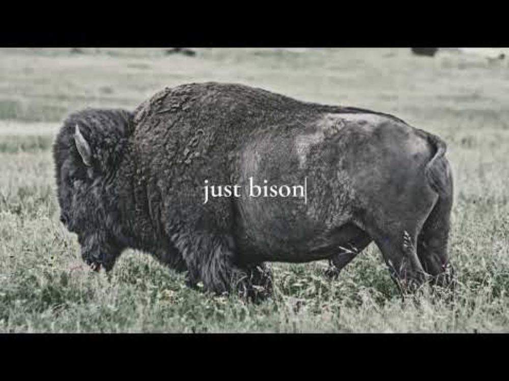 just bison