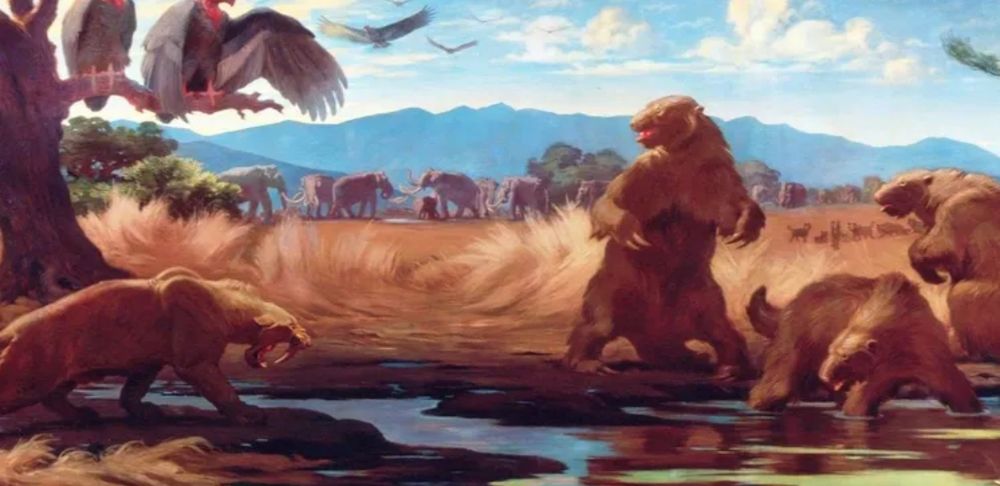 Cover of Fred Brooks’ Mythical Man Month in color. 