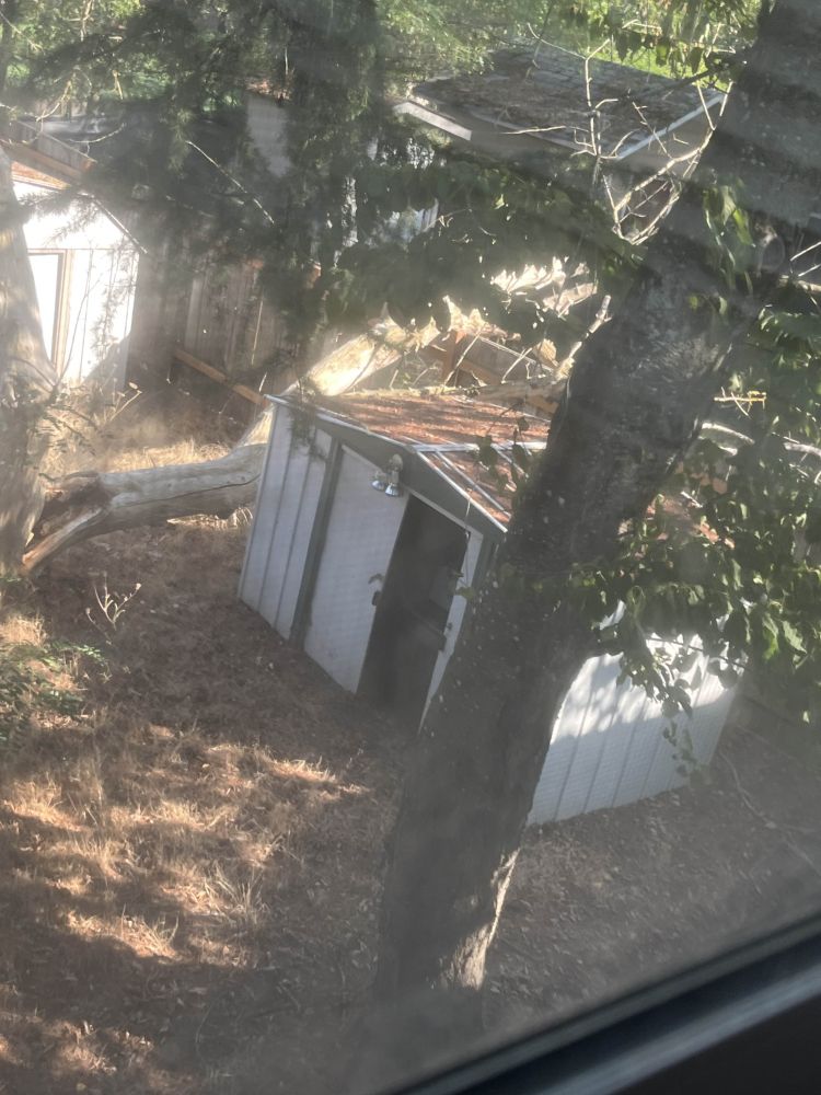 A tree fell on my god damn neighbor's fence, that's the alt text.