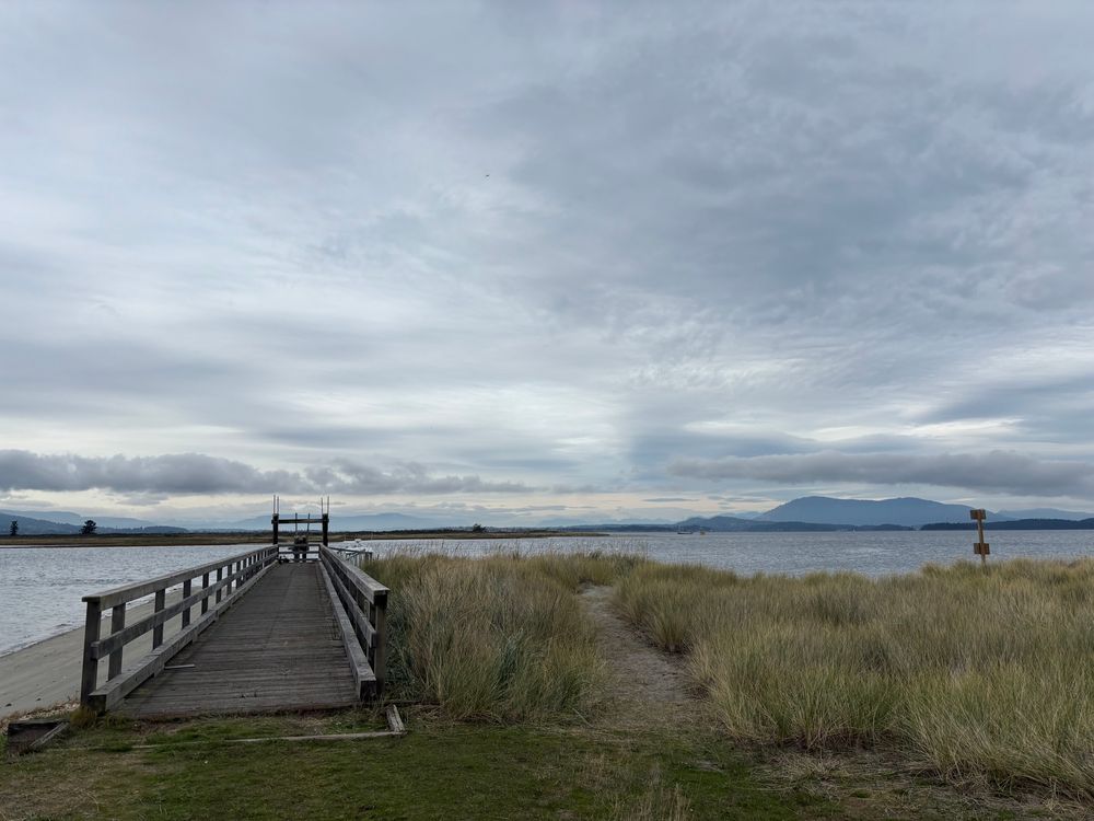 Colour photo. Looking down a dock on the ocean. Sand and dune grass on one side with a small sandy beach on the other. Beyond, mountains and an overcast sky