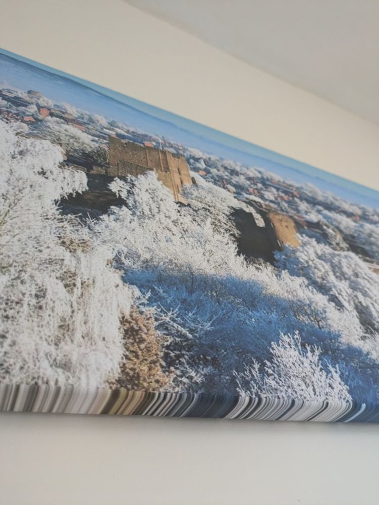 Canvas print of a woodland with a stretched image