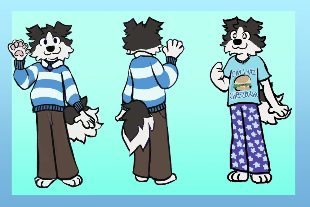 Violin! The border collie