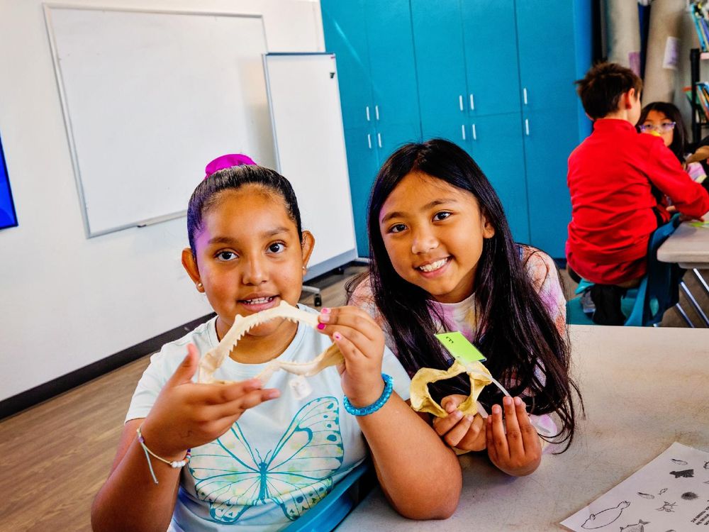 Two children in a classroom examine a shark jaw while educational posters are visible in the background.
