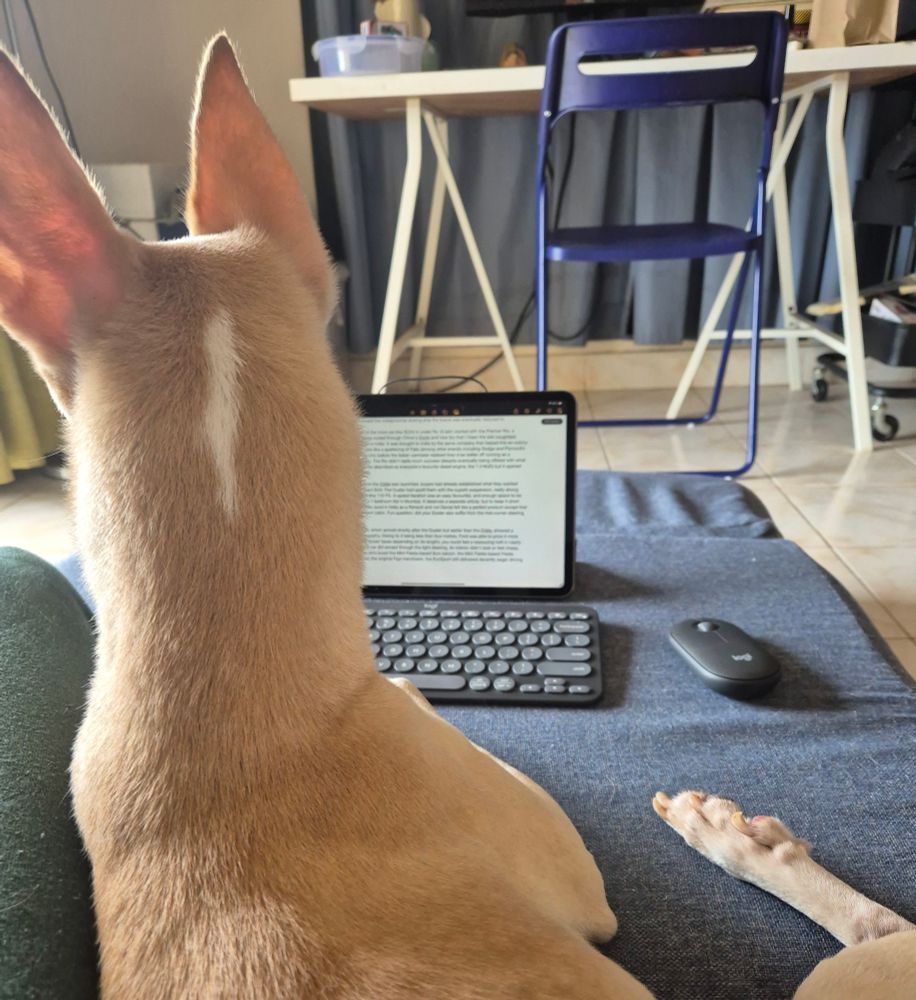 A dog pretending to work with an iPad, keyboard, and mouse placed in front of him. Photographed from the back.