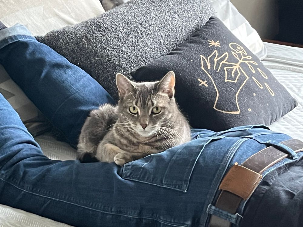 Noodle curled up on Jarrett’s butt