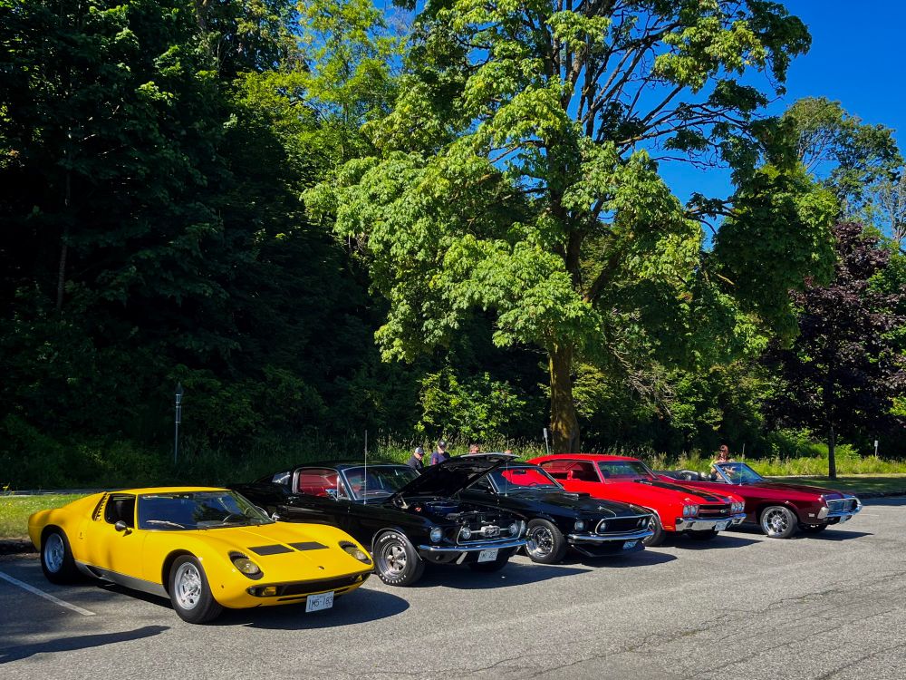 Fancy sports cars parked at the beach. From left to right: yellow retro Lamborghini, black 1960s Mustang, red Chevrolet with black racing stripes on hood, red sports car I don’t know