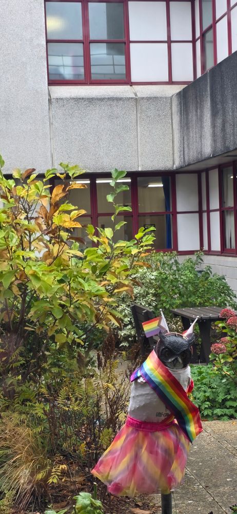 an particuarly stern looking model owl that has been dressed in gay pride apparel