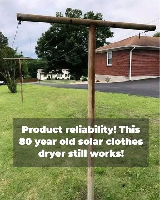 Post image (had no alt text on Bluesky)