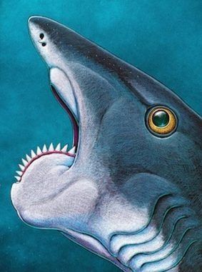 Drawing of a shark-like fish with a circular row of teeth