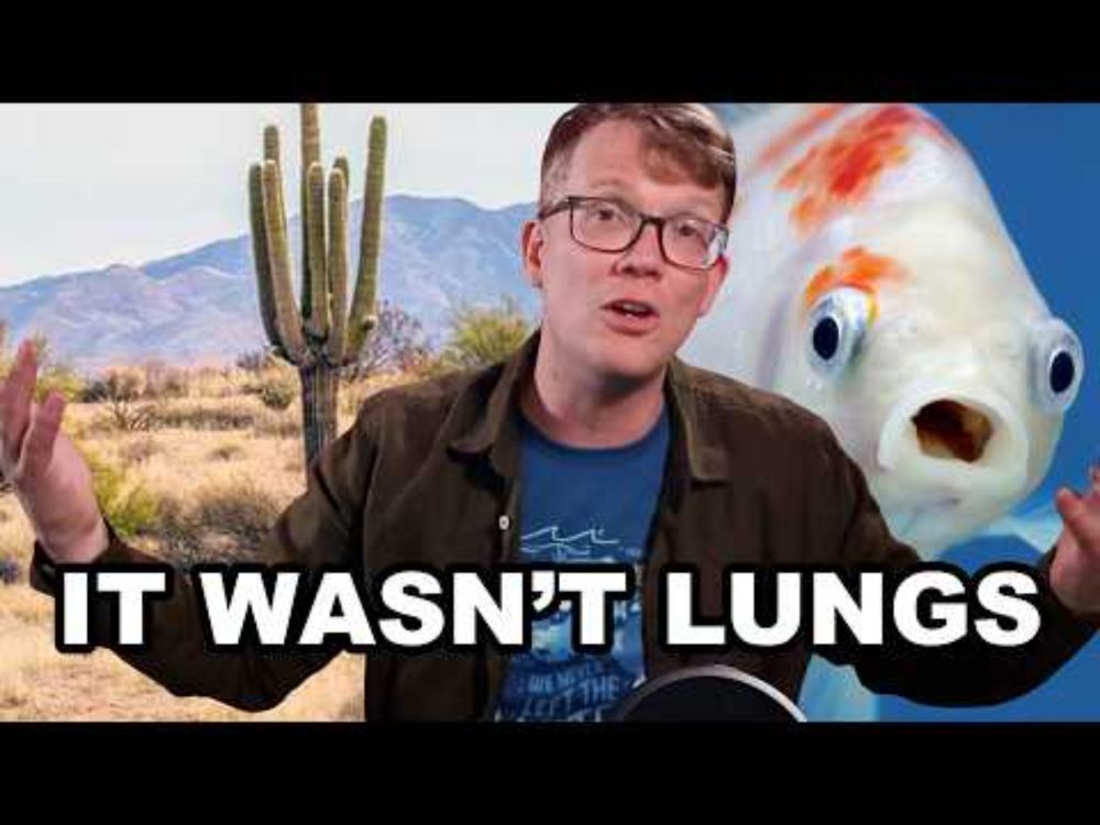The Hardest Problem Evolution Ever Solved