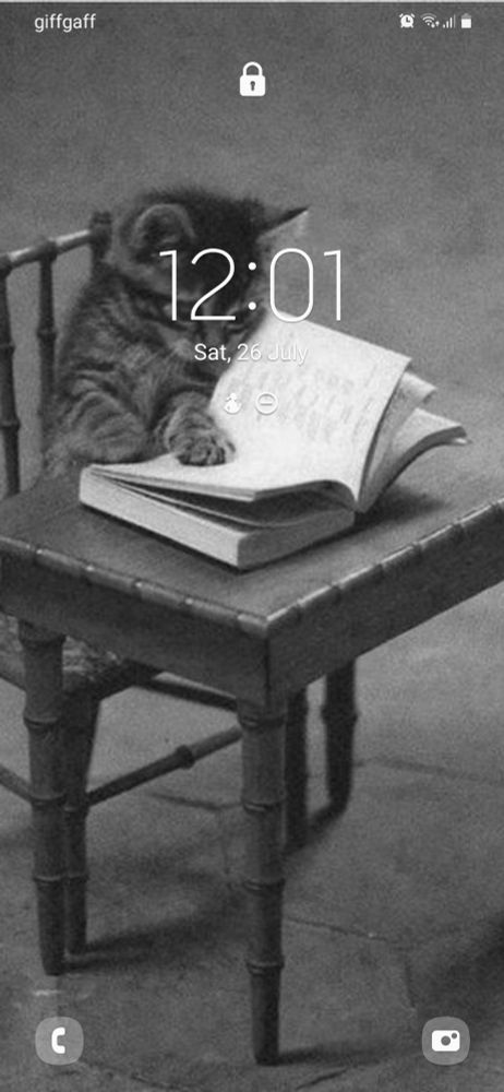 Lock screen with black and white photo of cat reading a book