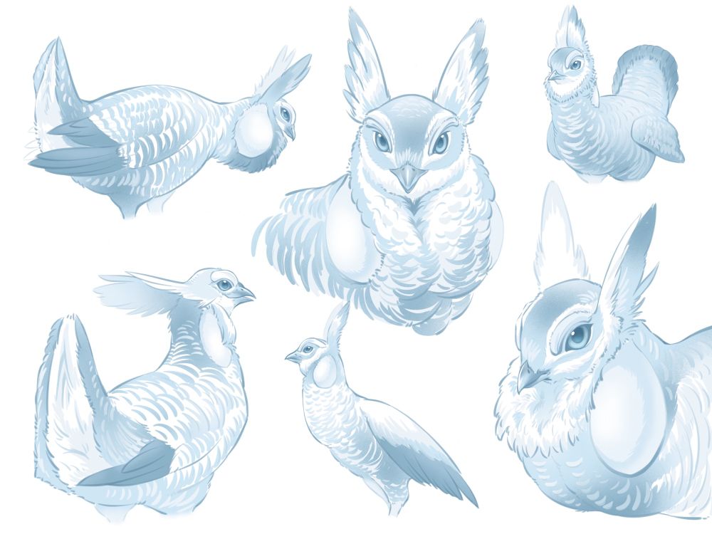 Prairie chicken