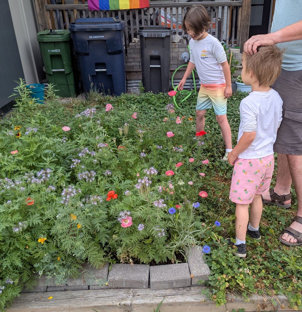 Two kids and their dad looking a bunch of wildflowers together