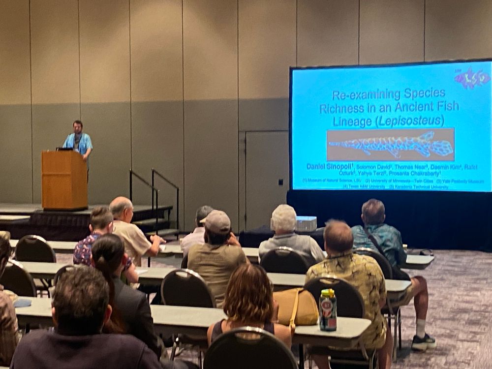 Dan Geldof presenting on his gar research.