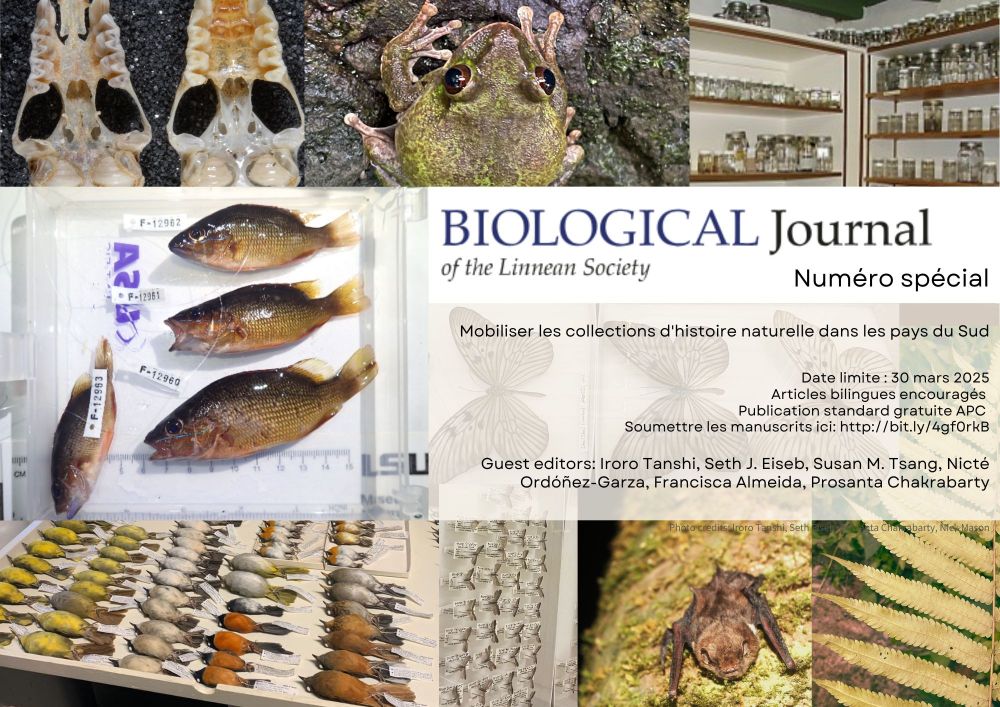 Chers collègues,

Au nom du rédacteur en chef et de mes collègues éditeurs invités, j'ai le plaisir d'annoncer un numéro spécial du Biological Journal of the Linnean Society intitulé Mobilizing Natural History Collection in the Global South (Mobiliser les collections d'histoire naturelle dans le Sud). Les détails sont disponibles sur le site web du journal https://academic.oup.com/biolinnean/pages/mobilizing-natural-history-collections

Principaux détails
Les soumissions d'auteurs du monde entier sont les bienvenues, mais le manuscrit doit inclure des recherches/constatations sur les collections d'histoire naturelle du Sud (y compris le manque d'infrastructures ou de collections d'histoire naturelle). Les chercheurs des pays du Sud sont particulièrement encouragés à participer à ce numéro. Les manuscrits acceptés dans ce numéro spécial feront l'objet d'une publication standard exempte de frais de publication d'article (APC). Les articles bilingues sont encouragés, avec une version non-anglaise comme matériel supplémentaire.
Date limite de soumission : 31 mars 2025

J'ai également joint une annonce et un PDF avec des détails supplémentaires. Les versions non anglaises (français, espagnol et portugais) sont incluses (avis de non-responsabilité : basé sur des traducteurs en ligne). N'hésitez pas à diffuser largement l'information et à nous faire part de vos questions.