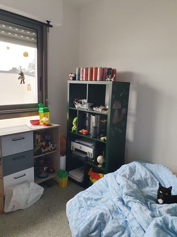 Étagère verte d'ikéa dans mon appartement