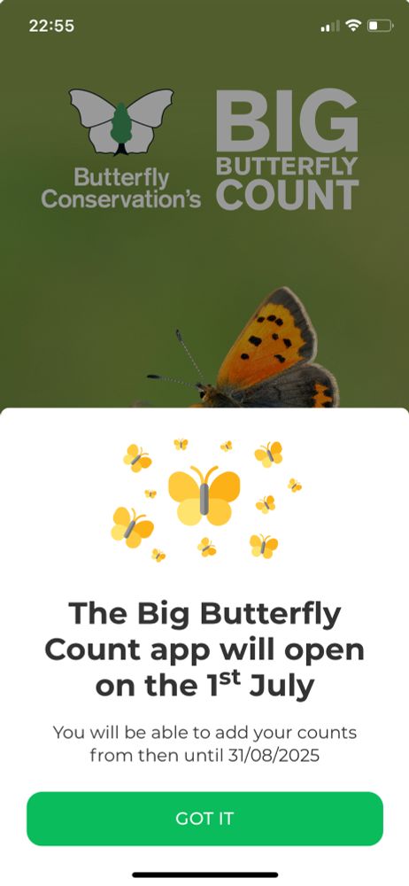 Big Butterfly Count app will open on 1st July