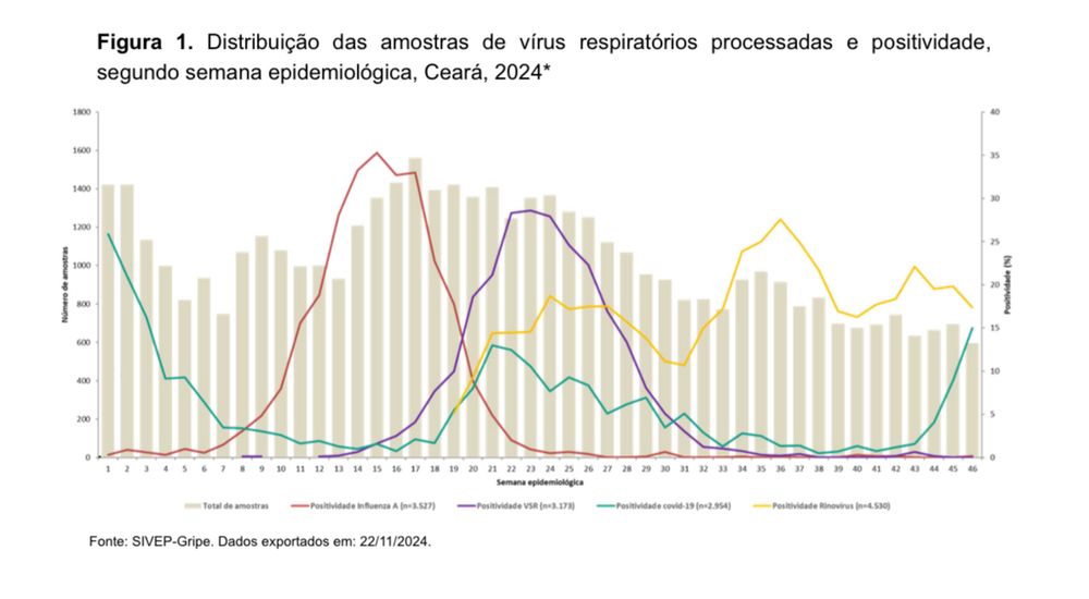 Gráfico de distribuição de amostras de vírus respiratórios processadas e positividade, por semana epidemiológica, no estado do Ceará em 2024.

 Neste gráfico vemos uma série temporal com barras e linhas sobrepostas. Cada barra corresponde a uma semana, e cada barra mostra a quantidade de testes totais feitos naquela semana.

Já as linhas se referem à taxa de positividade para cada vírus respiratório. Temos linhas para Influenza A, Vírus Sincicial Respiratório, covid-19 e rinovírus.

A linha relativa à covid-19 está em um aumento considerável desde a semana 43 até a semana 46 (que é a semana mais atual do gráfico). 

