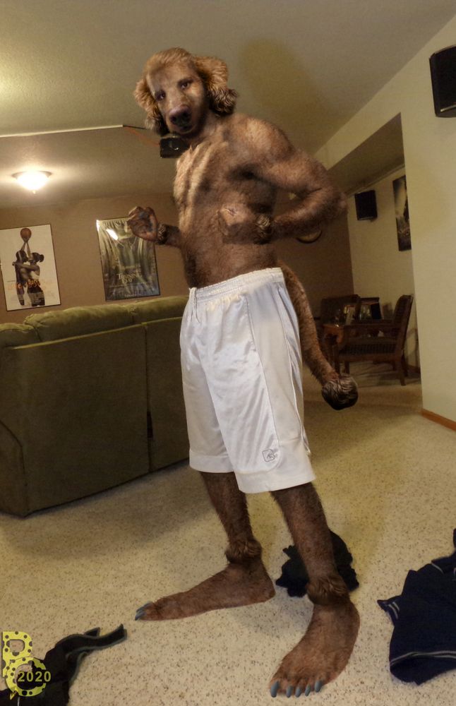 A photomanipulation of a brown-furred anthro poodle man in white boxer shorts (like, the actual knee-length shorts, not underwear) standing in a living room with discarded clothing on the floor next to him