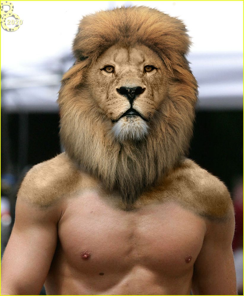 A photomanipulation of a medium closeup of a muscular shirtless man who'd transforming into an anthro lion from the head down, with a full lion head and mane and fur spreading down his shoulders and upper chest