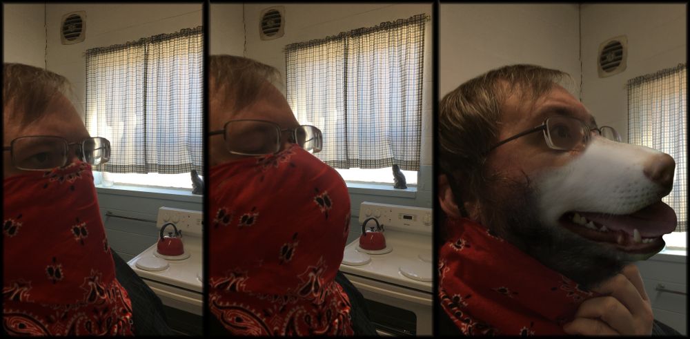 A three-panel photomanipulation sequence of a closeup of a man's face wearing a red bandana.  The bandana begins to bulge outward in the middle panel, and he pulls it down in the final panel to reveal a white dog muzzle