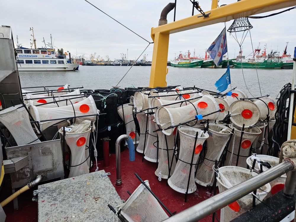 fishnets on the back of a fishing vessel