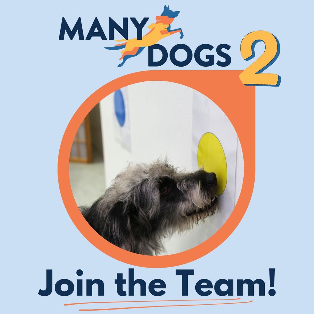 A white and gray dog touches a yellow dot hanging on the wall with his nose. Text says ManyDogs 2 - Join the Team!
