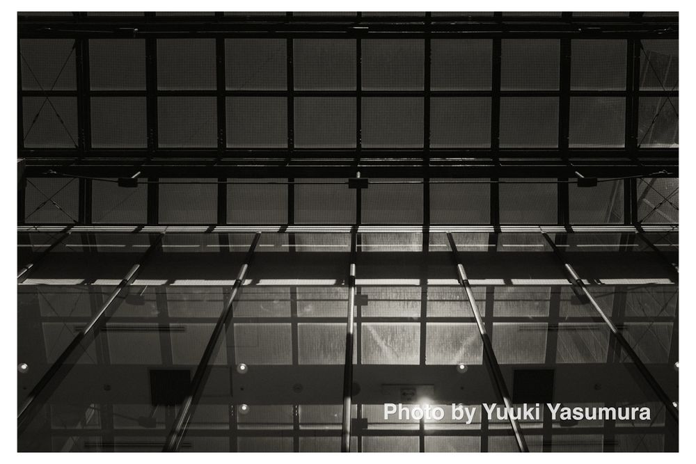 The Ceiling and Windows of a Train Station, Tokyo in 2025.