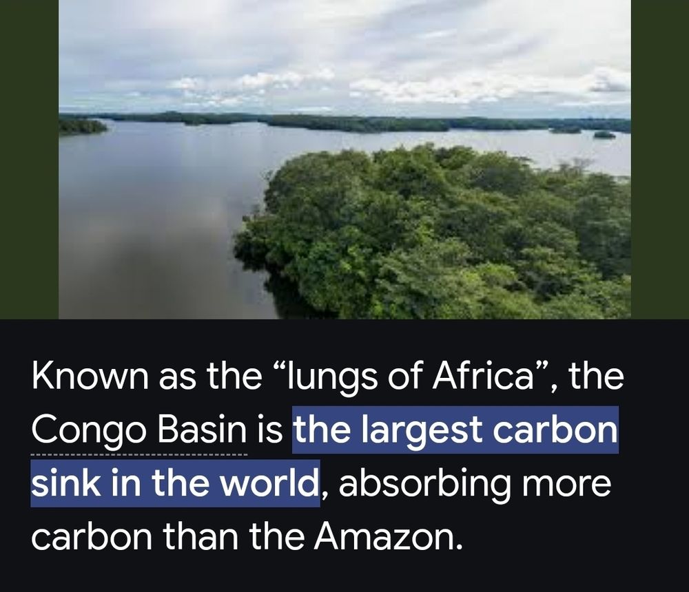 A photograph shows a view of dense green forest vegetation extending to a body of water under a cloudy sky. The text overlay reads: "Known as the 'lungs of Africa,' the Congo Basin is the largest carbon sink in the world, absorbing more carbon than the Amazon." This image highlights the significant role of the Congo Basin in global carbon absorption and environmental health.