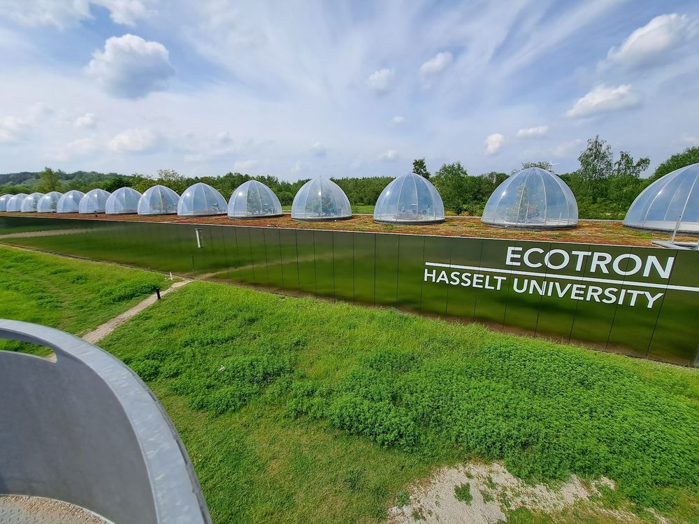 the Hasselt University Ecotron (a series of plastic bubbles housing ... trees?)
