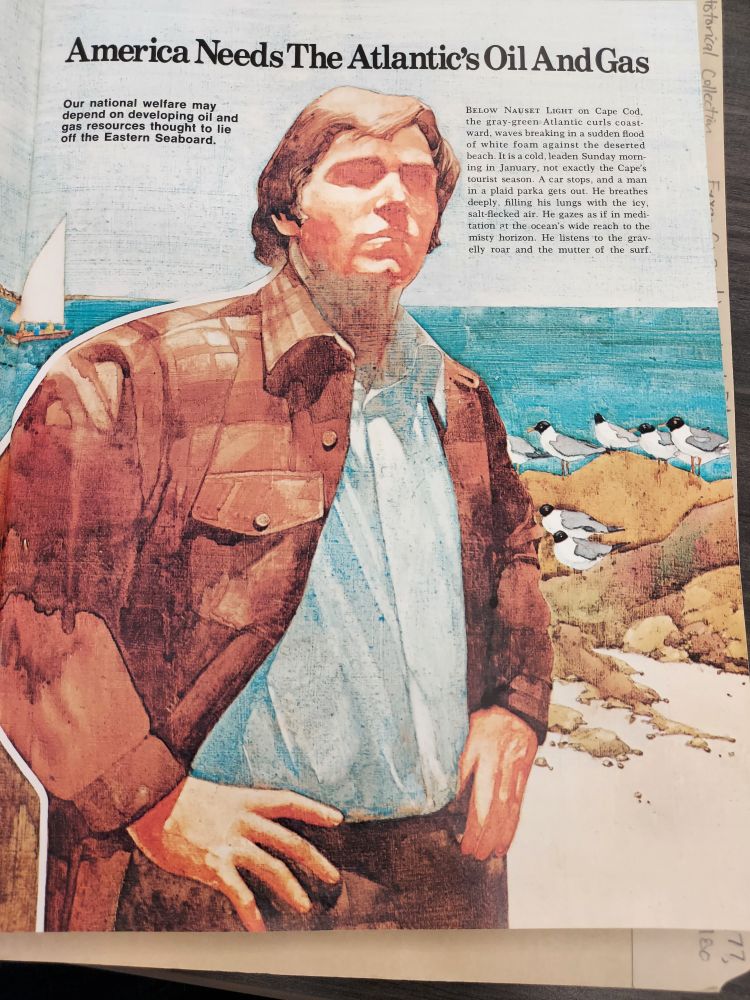 manly '70s man stares off into the distance, accompanied by a flock of seagulls