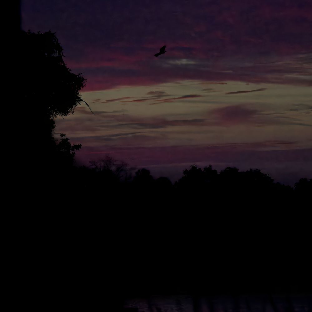 Another morning, another day of possibilities.