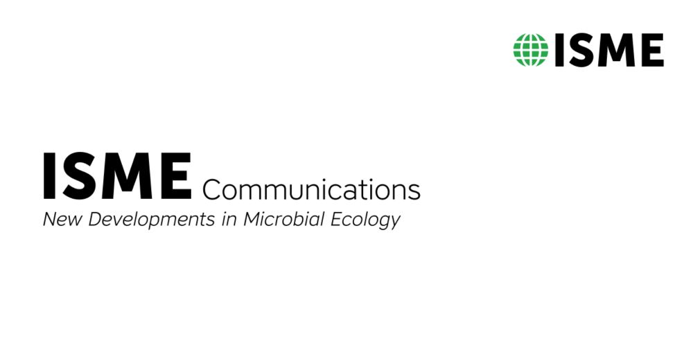 Strong pairwise interactions do not drive interactions in a plant leaf associated microbial community