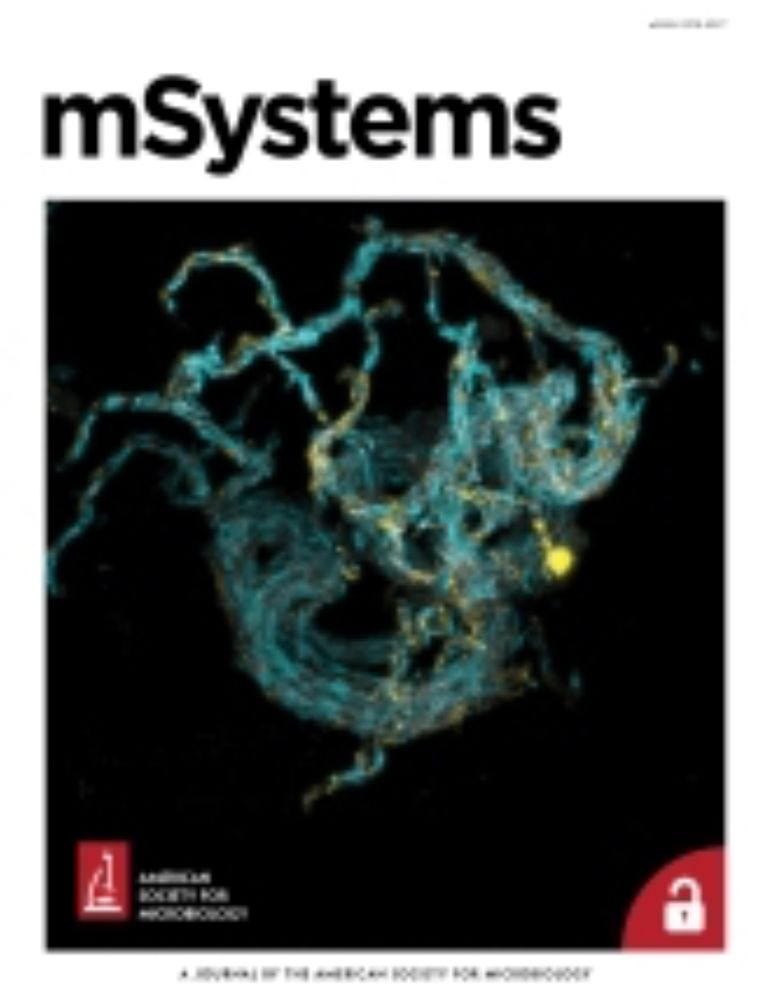 Feeling hormonal? Insights into bacterial auxin sensing and its physiological effects | mSystems