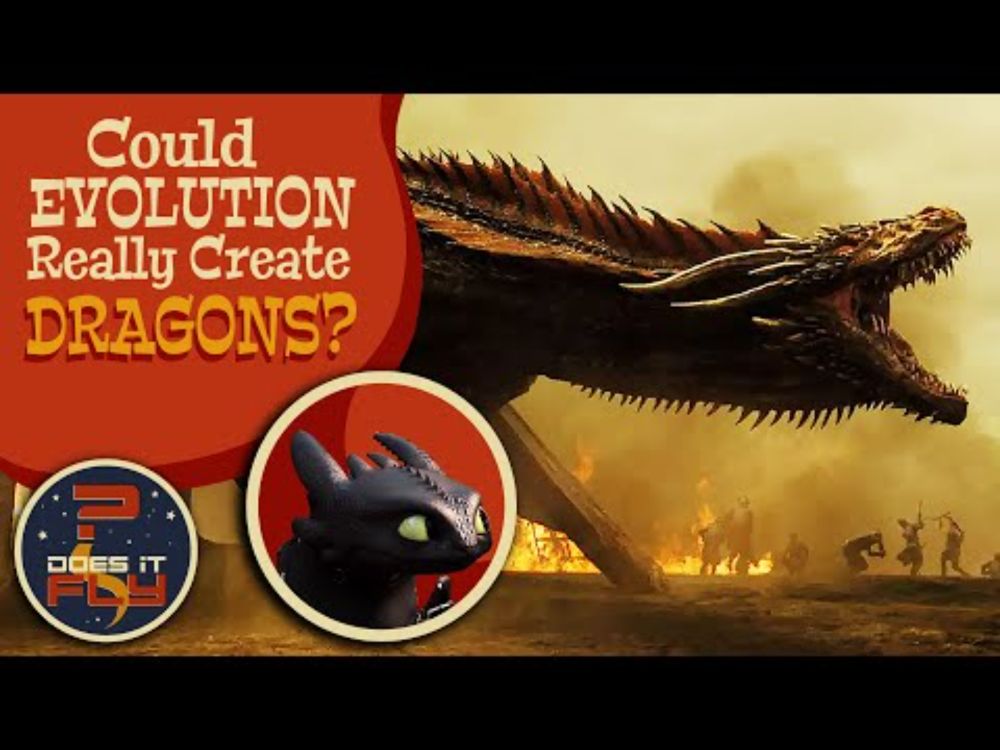 The Evolutionary Case for REAL DRAGONS
