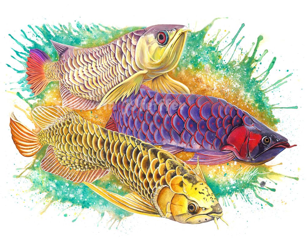 A watercolor painting of 3 vibrant fish with prominent scales and bright colors. 