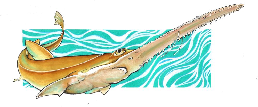 A painting of a golden colored fish with its head and long spiked snout point upwards over a teal rectangle filled with white lines to mimic waves. 