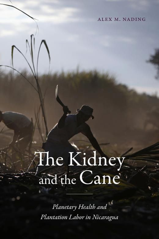 Cover of The Kidney and the Cane: Planetary Health and Plantation Labor in Nicaragua by Alex M. Nading. The cover features an image of two people cutting sugarcane in a dusty field, set against a muted, cloudy sky. The autho's name is in the top right of the cover. The title and subtitle are prominently displayed in a white font.