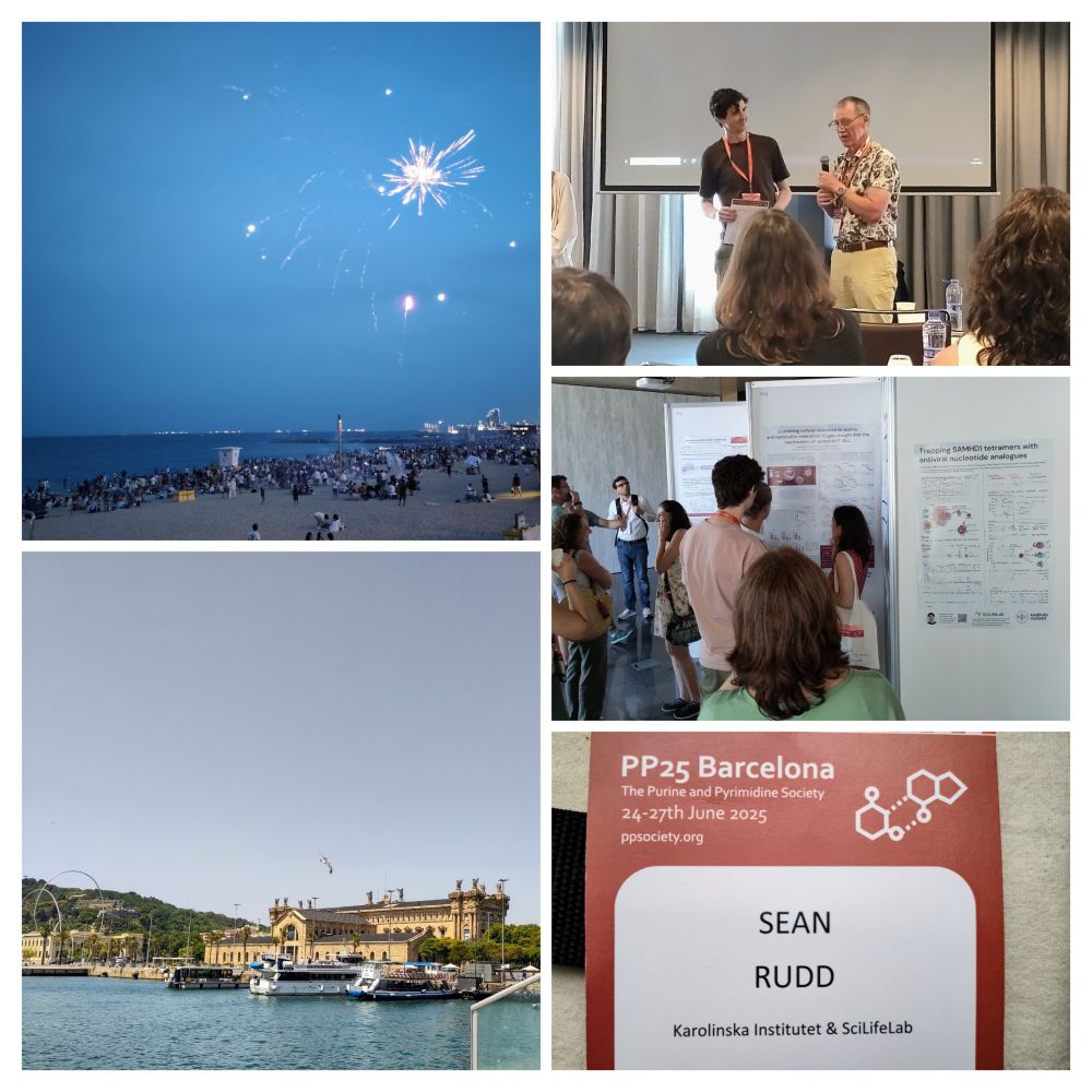 Collage of photos taken during PP25 conference. Includes fireworks, Barcelona scenery, and poster/oral presentations.