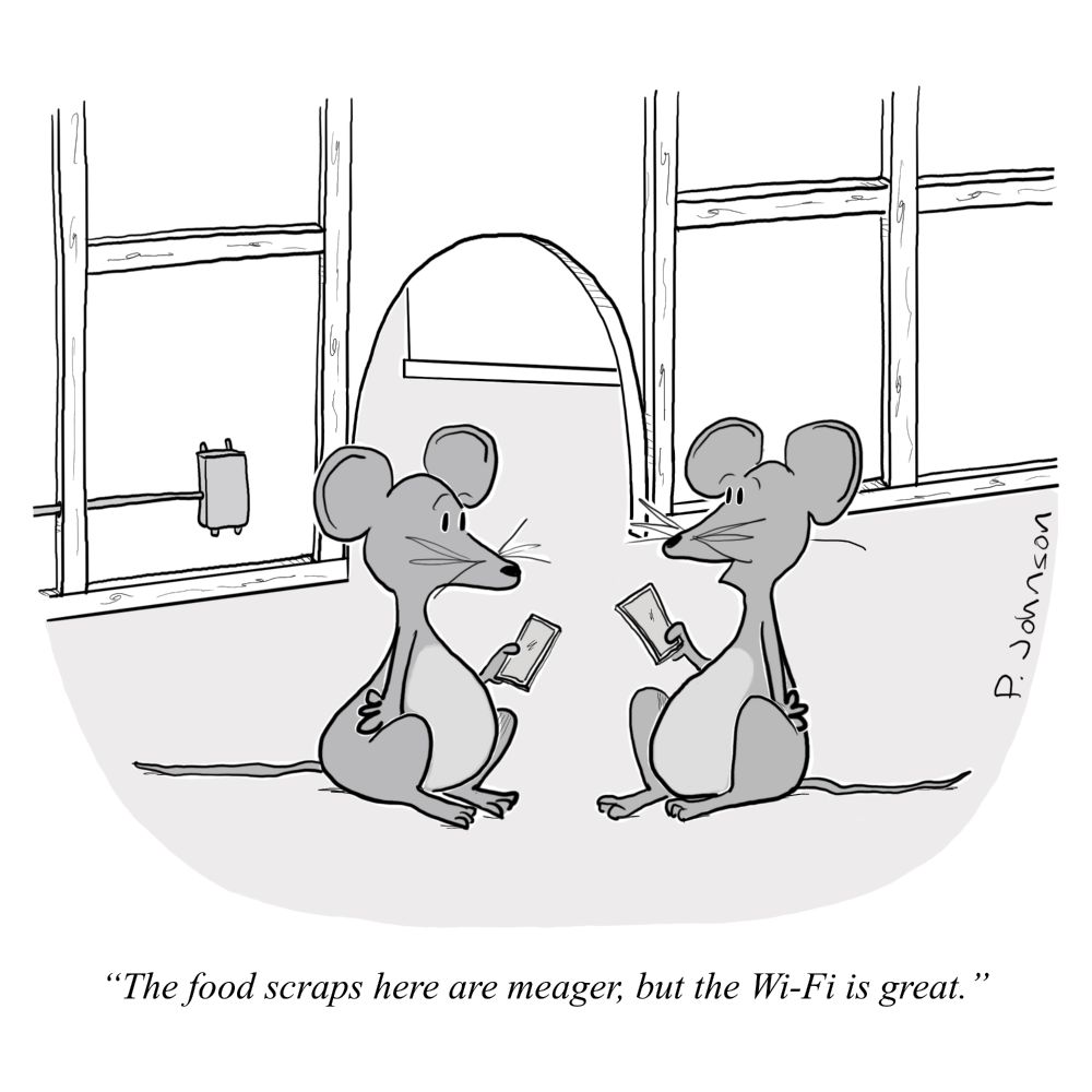 Cartoon of two mice, each holding a cell phone, behind the walls in a house. Once mouse says the food scraps here are meager, but the Wi-fi is great.