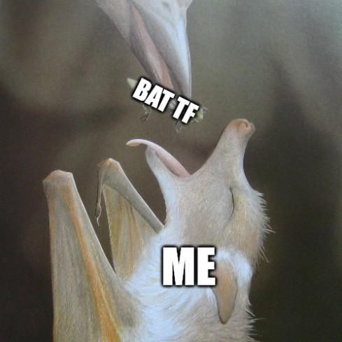 A clip of an illustration from the book Stellaluna. A bat is looking upward with open mouth and tongue out, labeled "ME". Above them is a bird's beak holding an insect, labeled "BAT TF", as if feeding it to the bat. Image and caption stolen from Oakmoss on Bluesky