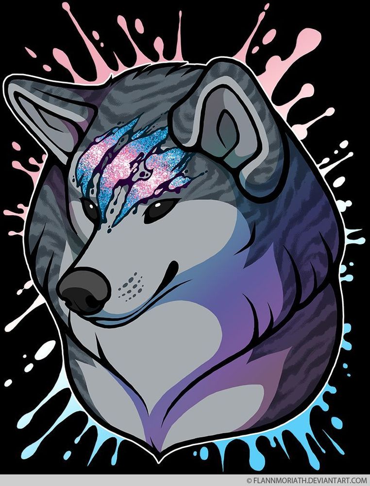Headshot of Gin, Akita from Ginga Nagareboshi Gin anime, with a neutral expression with trans flag color glitter for scars on his forehead and a rainbow splatter in the background