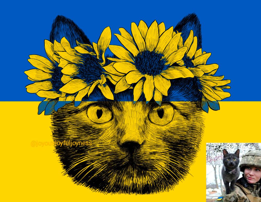 Drawing of cat wearing a crown of sunflowers looking at the viewer. The artist's @joyousjoyfuljoyness watermark is on the left. At the bottom right is the reference photo with the cat on a Ukrainian soldier's shoulder. The background is the Ukrainian flag.