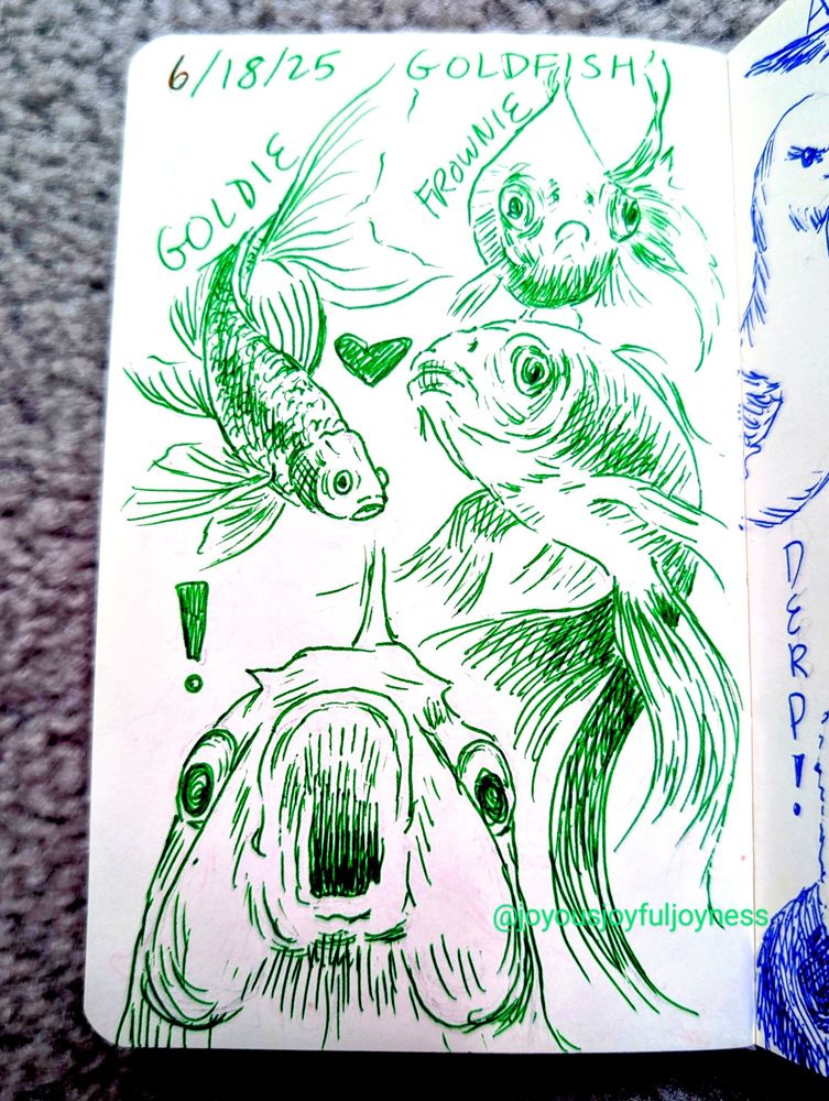 A sketchbook page of 4 goldfish drawings in green pen. The top is the text 6/18/25 and Goldfish. Top left drawing is a goldfish swimming down with the text Goldie next to it. To the right is a frowning goldfish with the text Frownie. Below that fish is a heart and a goldfish swimming with its tail below. At the bottom left is a large drawing of a surprised goldfish with an exclamation mark next to it.