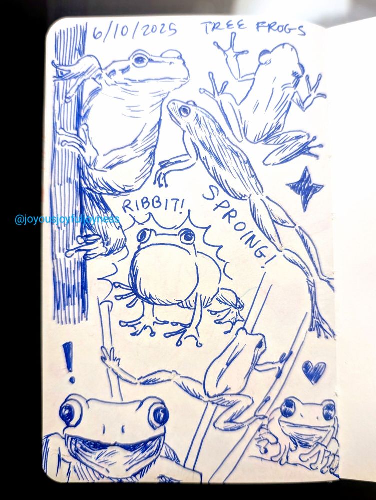 Sketchbook page of 7 tree frog drawings in blue pen. At the top is the txt 6/10/2025 and Tree Frogs. The top left is a frog holding onto a branch and looking to the right. To the right is a frog from above. Below is a jumping frog with the word Sproing! written below it. There is also a star. Below that is a frog ribbiting (labeled). Below that is a frog climbing reeds with its legs splayed out. At the bottom left is a frog with a surprised look and its mouth open. To the bottom right is a frog looking at the viewer with a heart above it.