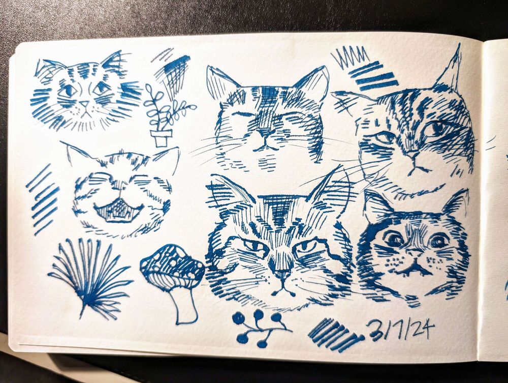 Sketchbook page with 6 cat face drawings and a mushroom sketch with a few other scribbles. The bottom left has the date 3/7/24 written. The top left is a minimally drawn cat with few lines. The middle top drawing is of a cat with his eyes closed. The top right cat has her eyes open. The bottom left cat is smiling with a wide grin. The bottom middle cat has an angry face. The bottom right cat has big eyes and is showing his teeth.