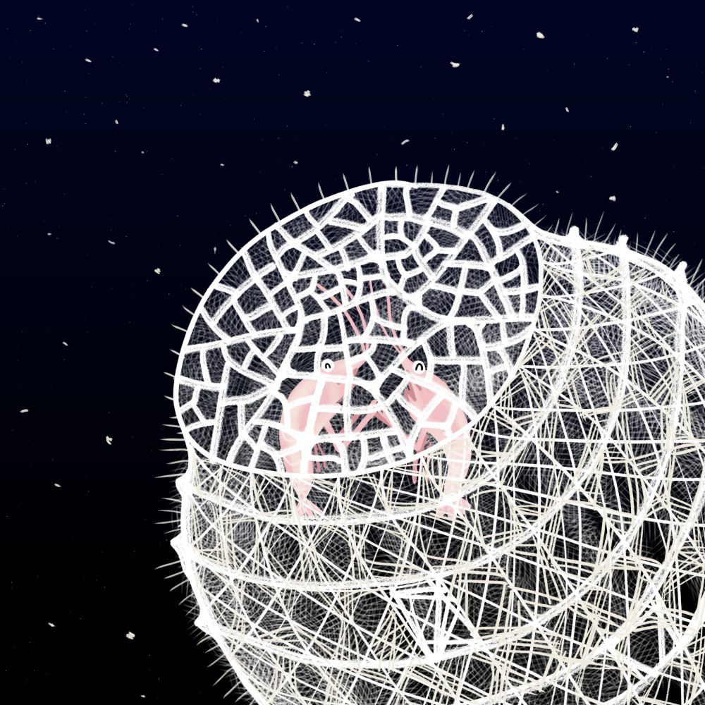 Two shrimp holding claws inside a Venus's flower basket (a white glass sponge)