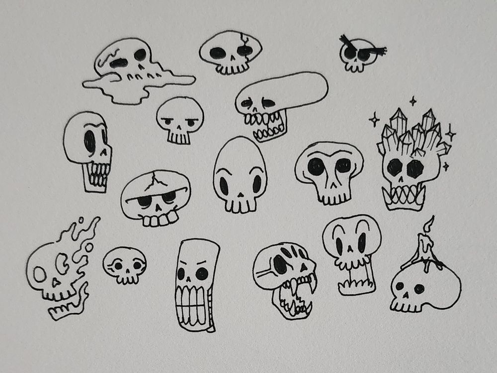 A group of skulls of varying shapes and sizes 